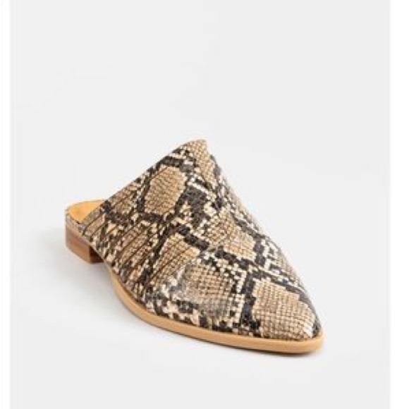 Bogo Snakeskin Mules NWT in box SOLD OUT - Picture 3 of 7